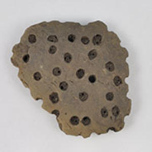 Fragment of clay sieve from central Europe.  Credit: Mélanie Salque. (Click on image to view larger.)